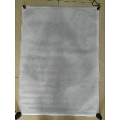 办个密歇根州驾照